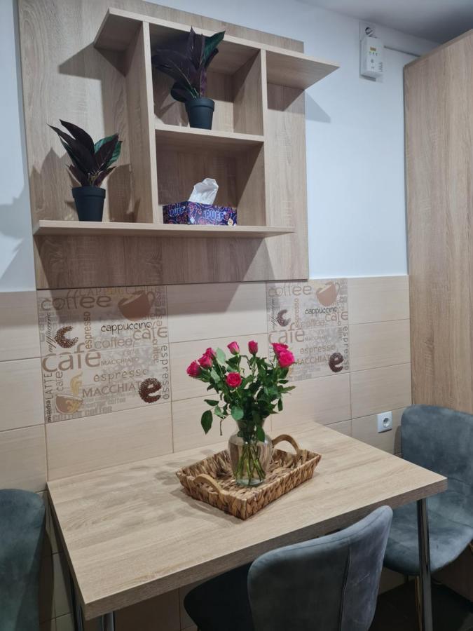 Apartament Modern Cristina&Jessica Medias Exterior photo